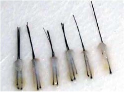 微量元素分析仪可以采用头发作为样本检测
