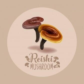 人体微量元素检测仪品牌国康提议蘑菇合理补微量元素又不至于长胖