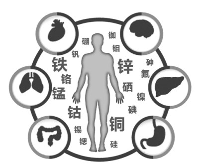 微量元素分析仪厂家解析微量元素失衡会致癌吗?山东国康