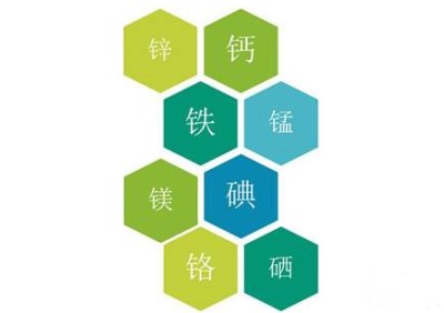 全自动微量元素分析仪解析微量元素免疫功能-山东国康