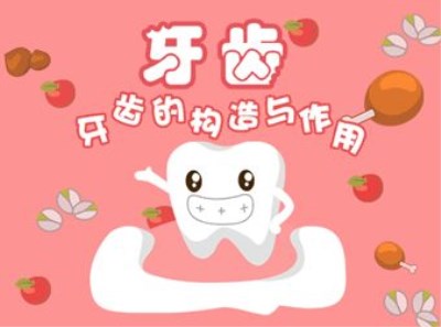 全自动微量元素分析仪厂家-保护孩子牙齿补钙就行吗,山东国康 全自动微量元素分析仪厂家-保护孩子牙齿补钙就行吗,山东国康
