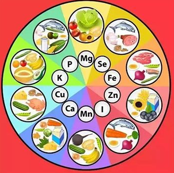 微量元素分析仪厂家哪家好?微量元素分析仪检测原理有哪些? 微量元素分析仪厂家哪家好?微量元素分析仪检测原理有哪些?