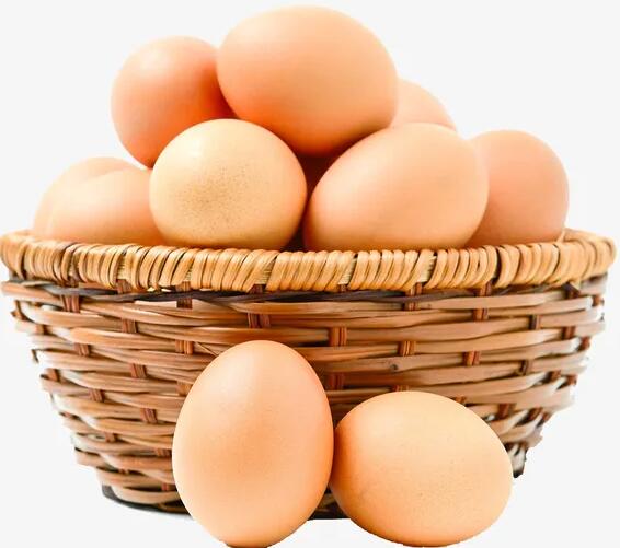 微量元素分析仪品牌国康提示健身人员为什么都爱吃鸡蛋？