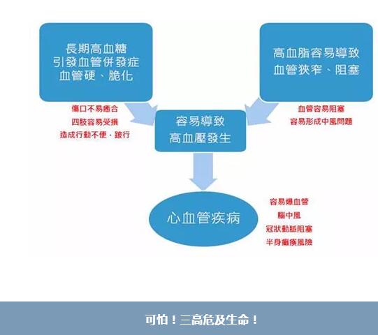 人体微量元素检测仪品牌gk剖析硒与三高人群不得不说的关系!