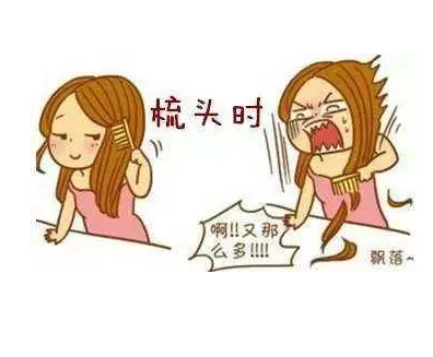 拿来吧你| 全自动微量元素分析仪缺乏这些微量元素会导致脱发哦!