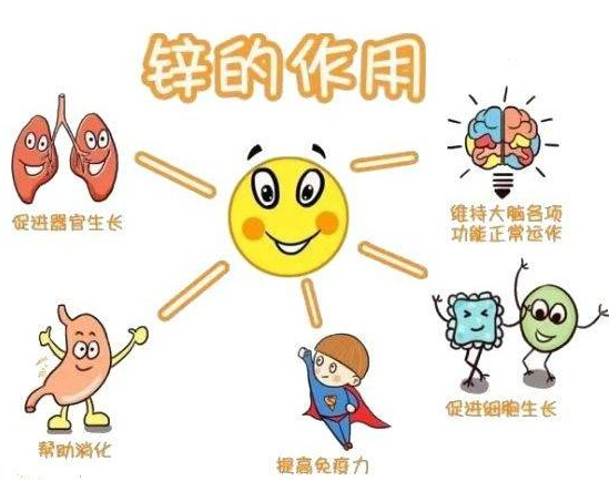 电化学微量元素分析仪品牌国康分析锌超标了对身体有哪些危害?